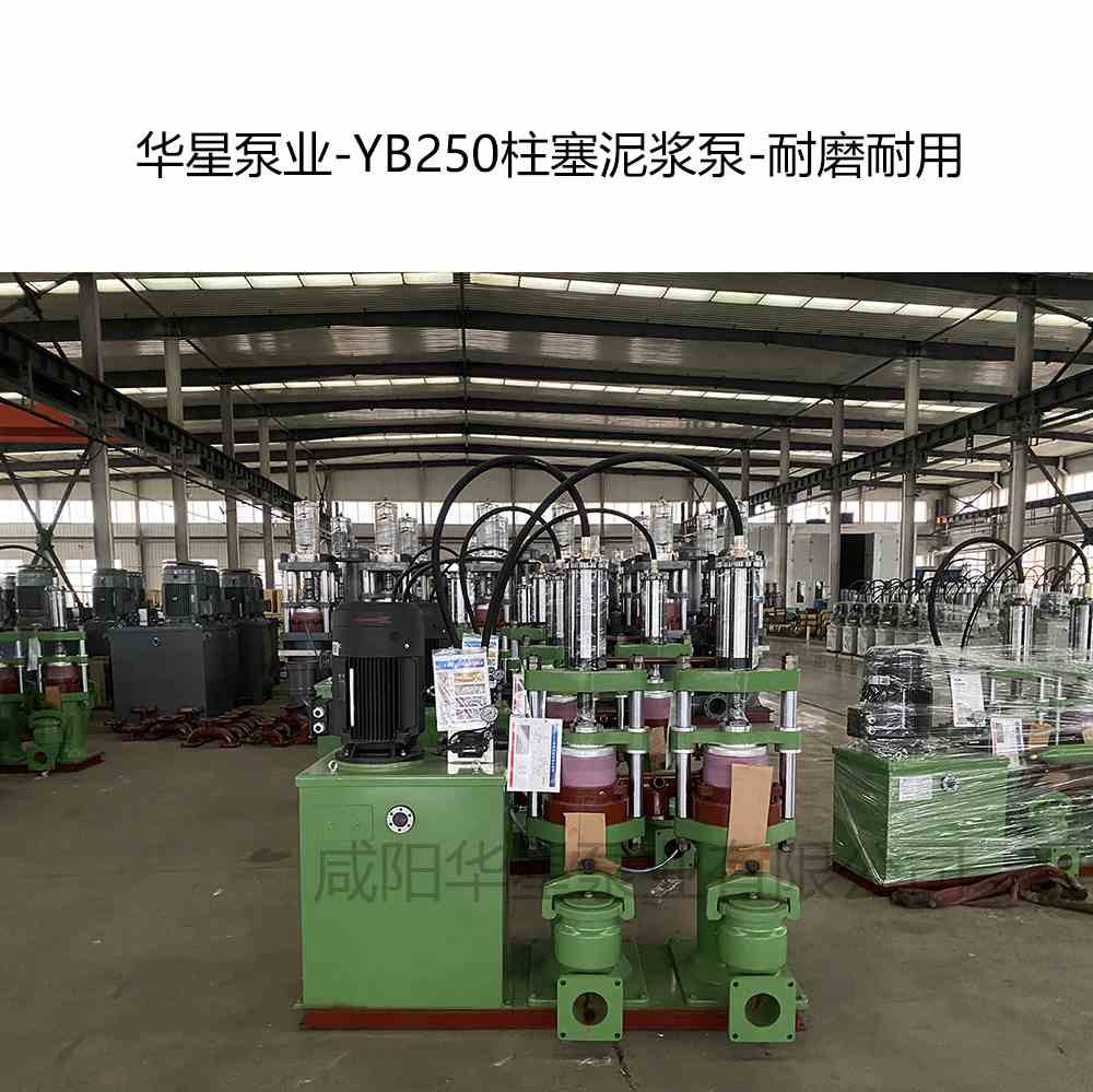 污水處理廠訂購一臺YB250柱塞泥漿泵