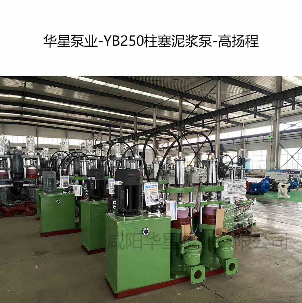 選礦廠(chǎng)購(gòu)買(mǎi)2臺(tái)YB250高揚(yáng)程柱塞泥漿泵