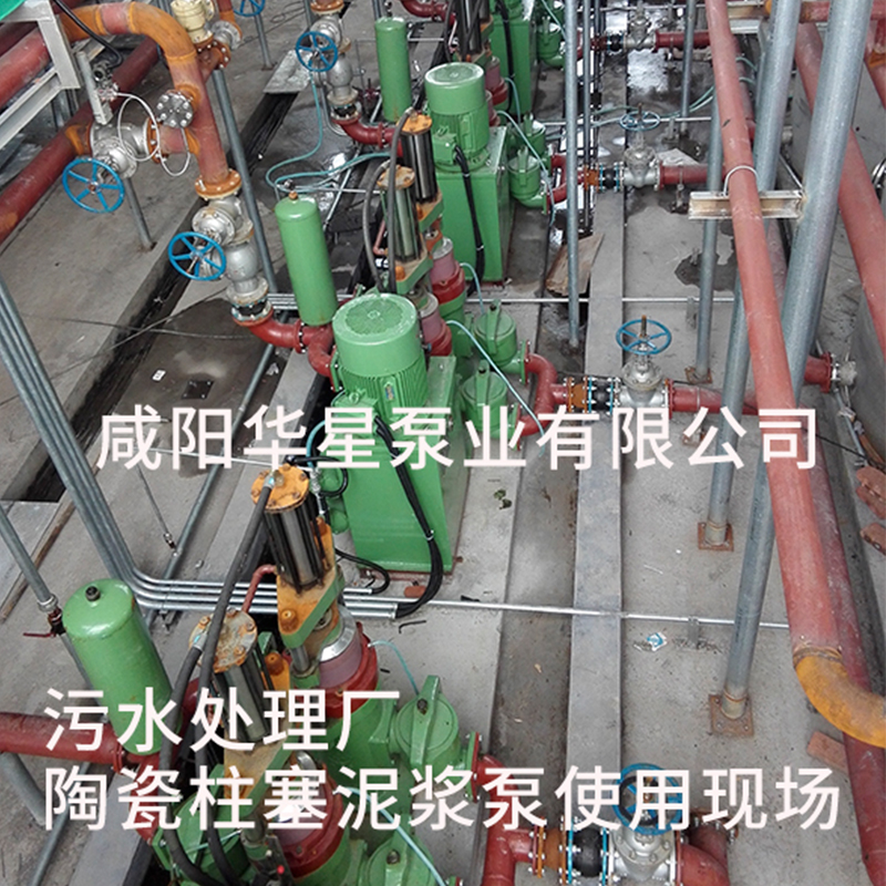 污水處理廠陶瓷柱塞泥漿泵使用現(xiàn)場