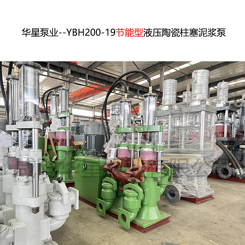 柱塞泵 華星 YB200-19