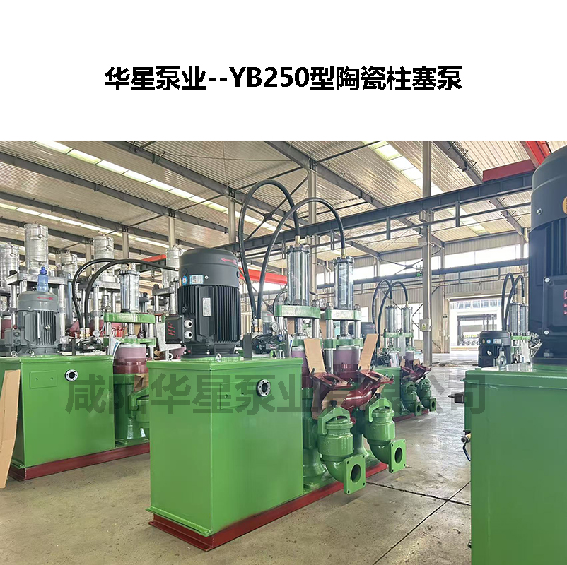 250柱塞泵參數(shù)