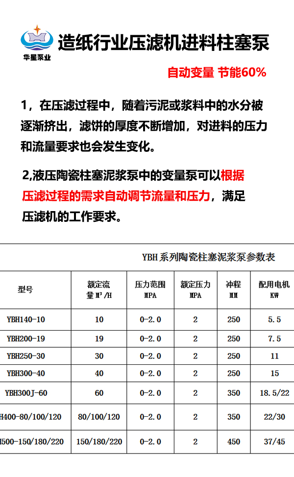 造紙行業(yè)壓濾機(jī)進(jìn)料柱塞泵