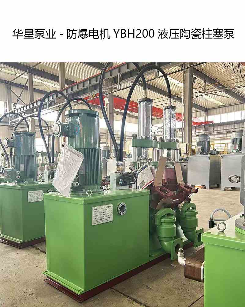 華星泵業(yè)-防爆電機YBH200液壓陶瓷柱塞泵-產(chǎn)品圖片 華星泵業(yè)-防爆電機YBH200液壓陶瓷柱塞泵-產(chǎn)品圖片